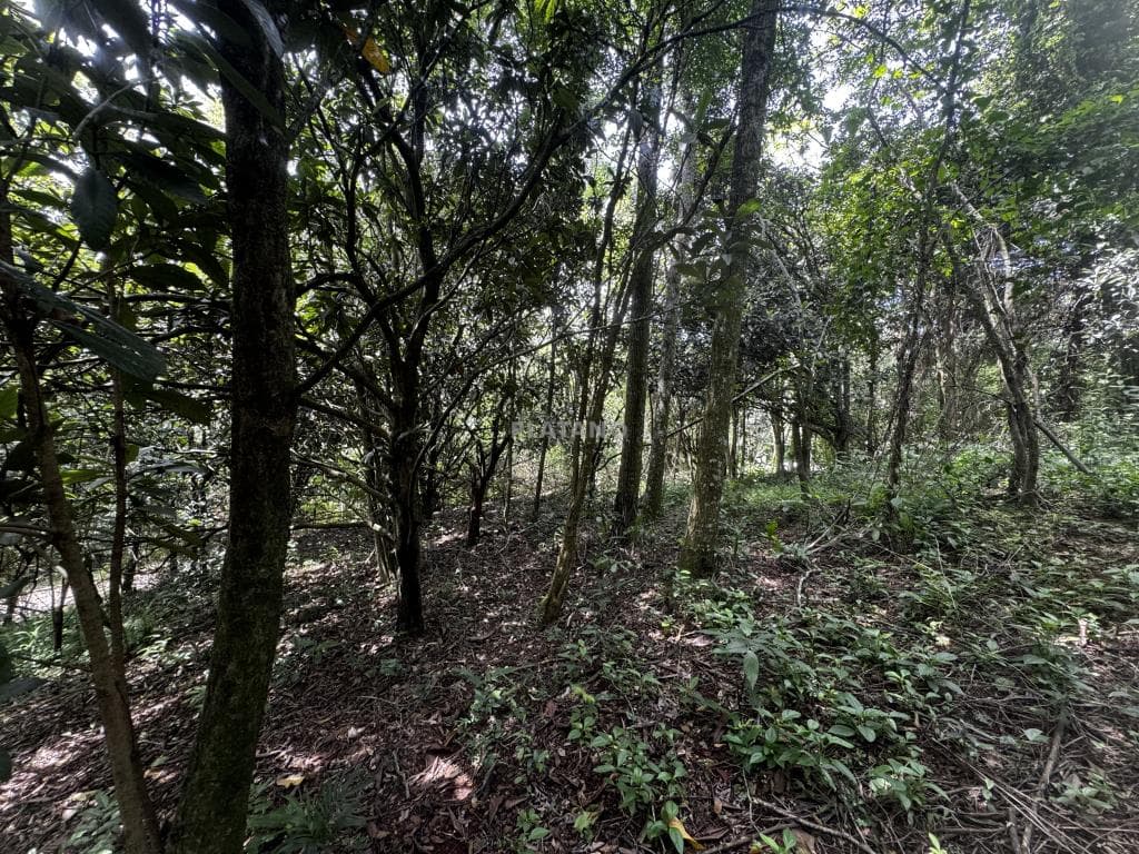 Imagem 26 do imóvel