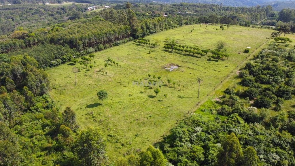 Imóvel no Campo Grande, Portão - Imagem 1