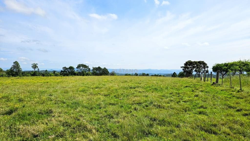 Imóvel no Campo Grande, Portão - Imagem 2