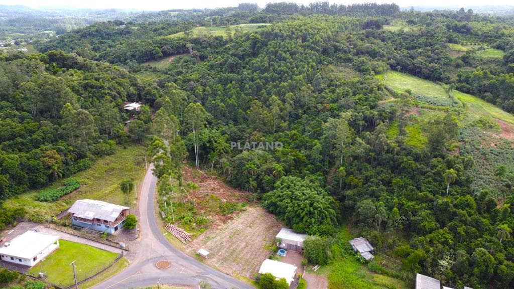Imóvel no Campestre, São José do Hortêncio - Imagem 2