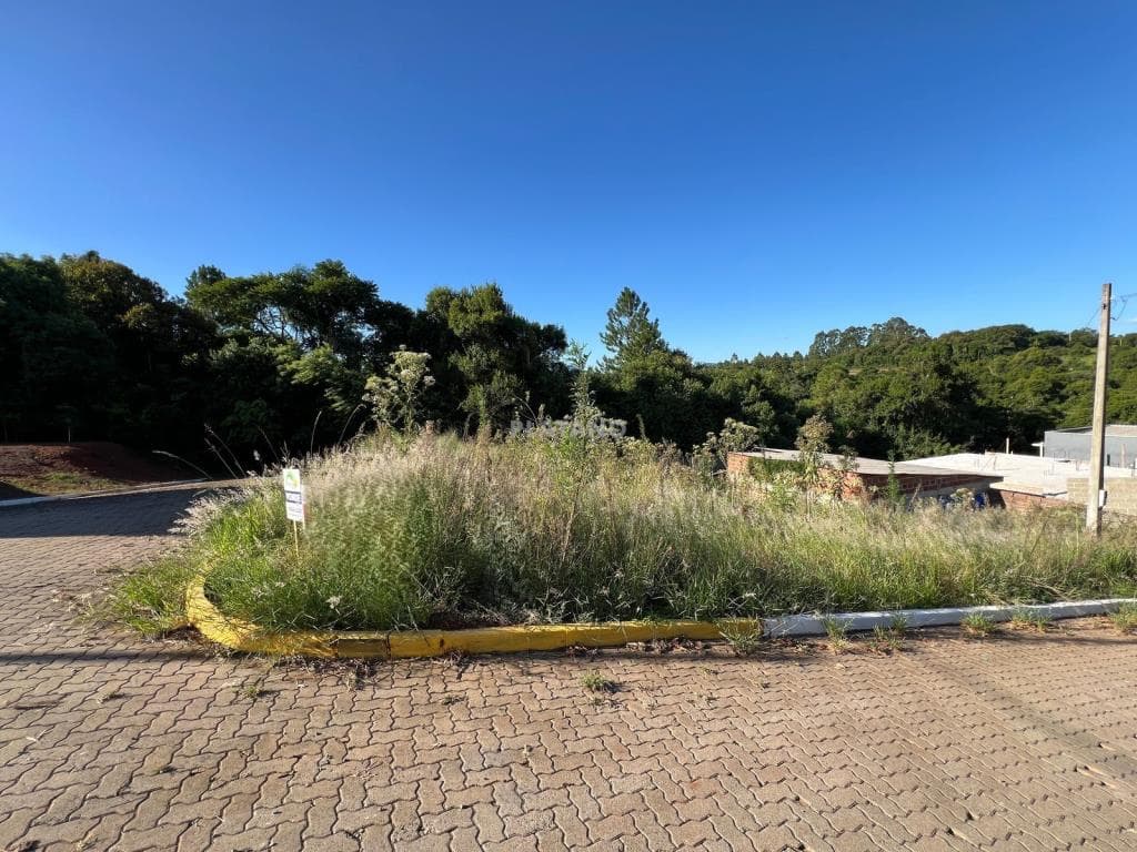 Imóvel no Boa Vista, Lindolfo Collor - Imagem 2