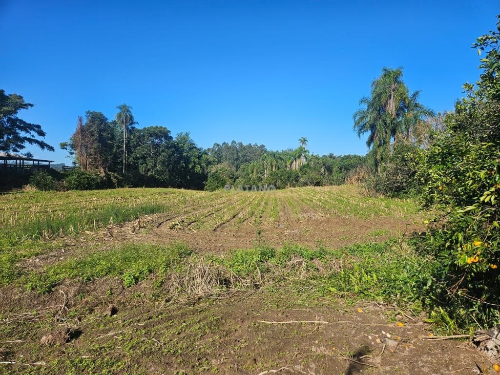 Chácara / Sítio para Venda no Campestre em São José do Hortêncio - Imagem 5