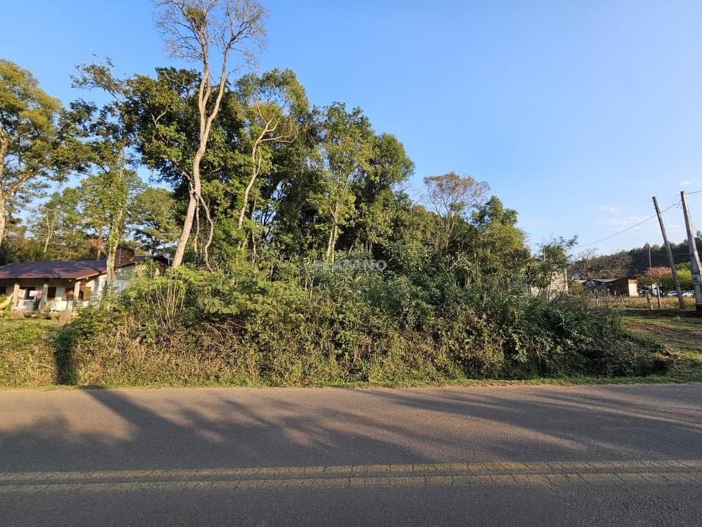 Imóvel no Picada 48 Alta, Ivoti - Imagem 2