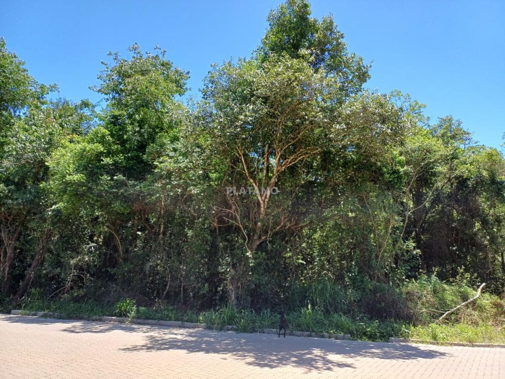 Imóvel no Feitoria Nova, Ivoti - Imagem 2