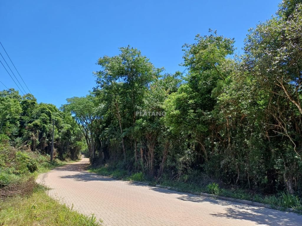 Imóvel no Feitoria Nova, Ivoti - Imagem 4