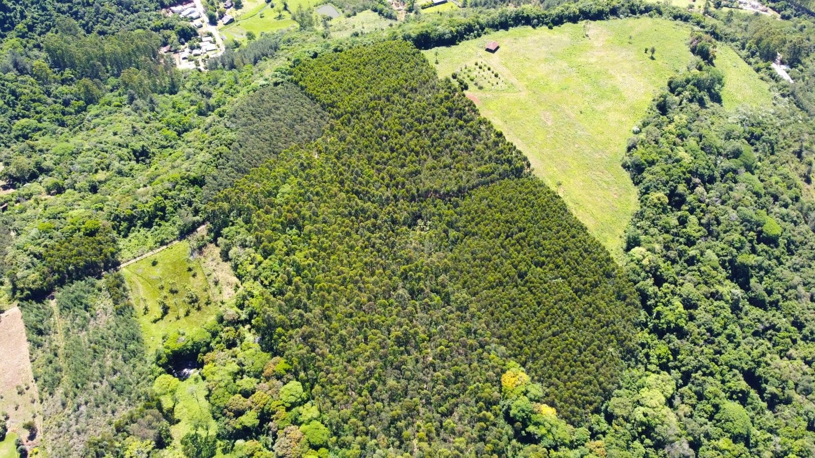 Imóvel no Palmares, Ivoti - Imagem 5