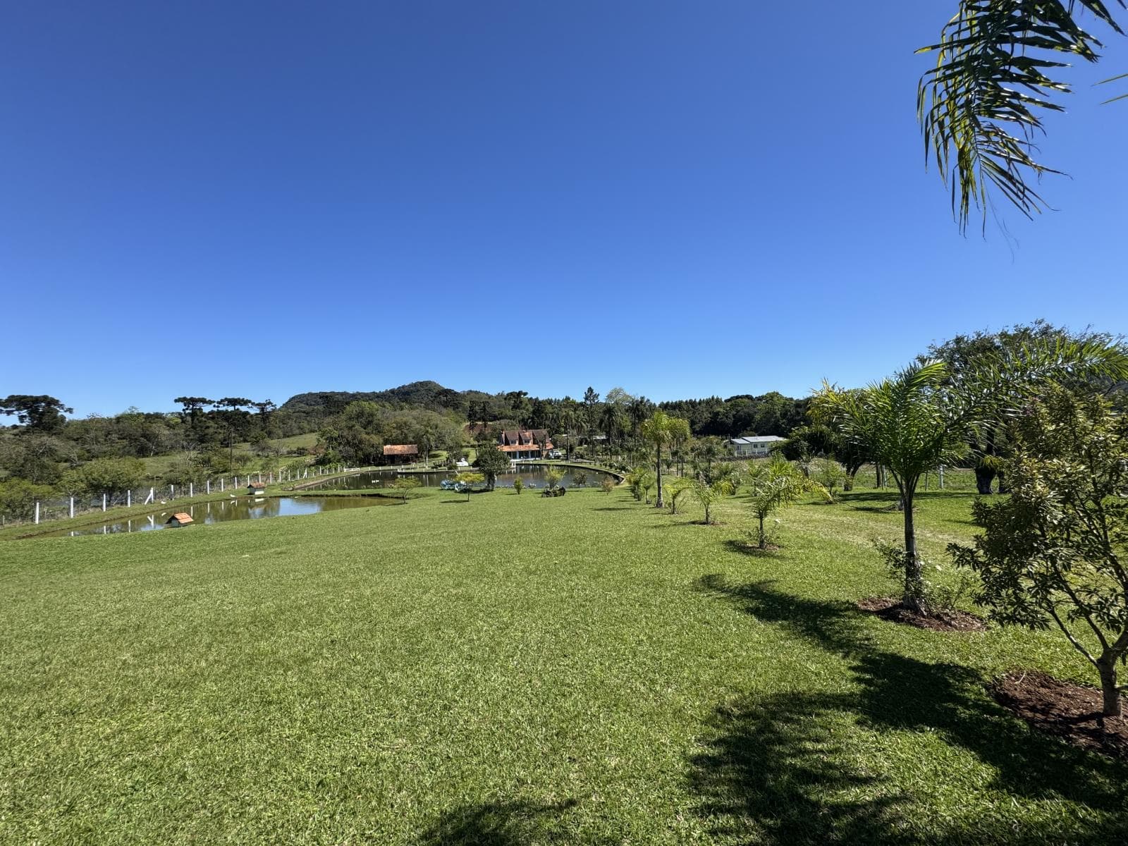 Imóvel com 7 quartos no Centro, Linha Nova - Imagem 2