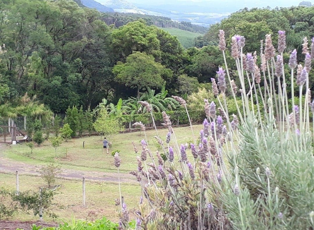 Imagem 22 do imóvel