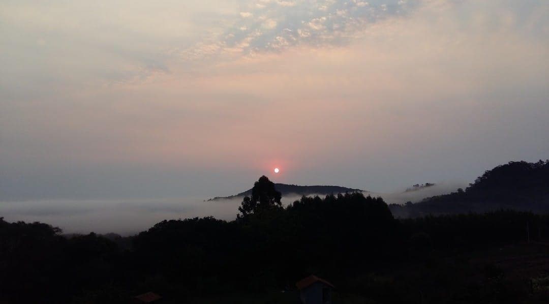 Próxima imagem