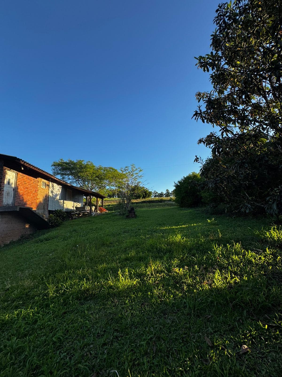 Imagem anterior