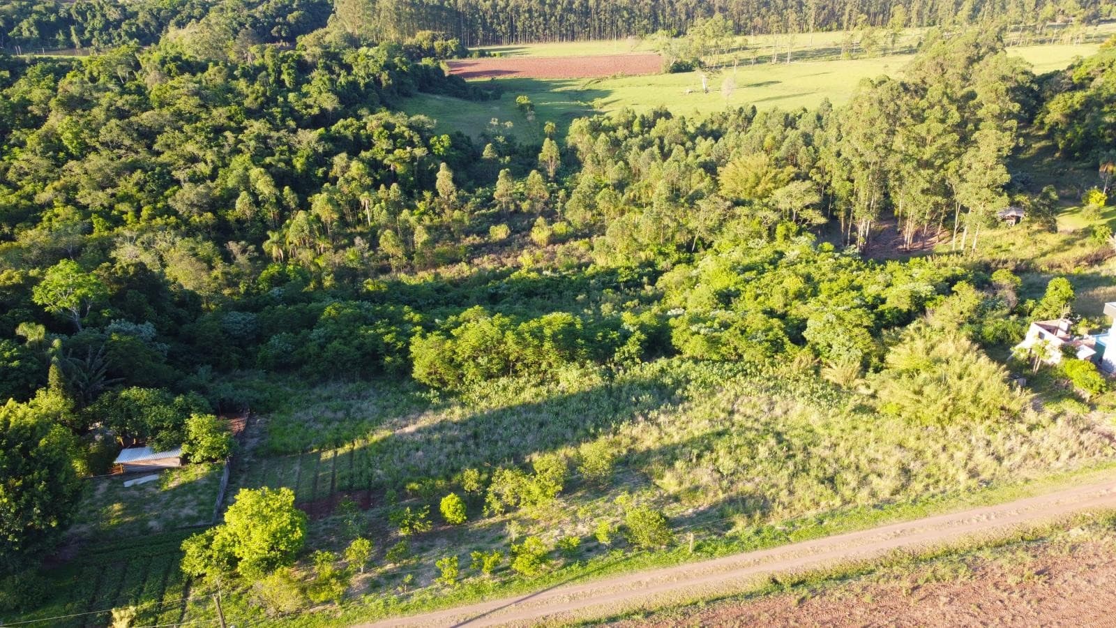 Chácara / Sítio para Venda no Centro em Presidente Lucena - Imagem 2