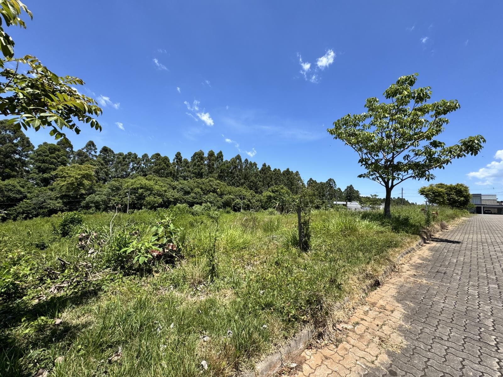 Terreno para Venda no Das Rosas em Estância Velha - Imagem 2