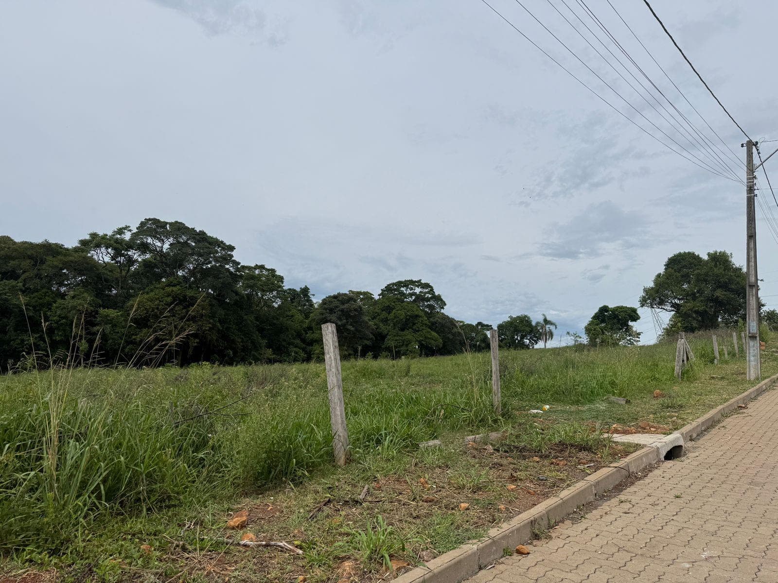 Terreno para Venda no União em Ivoti - Imagem 1