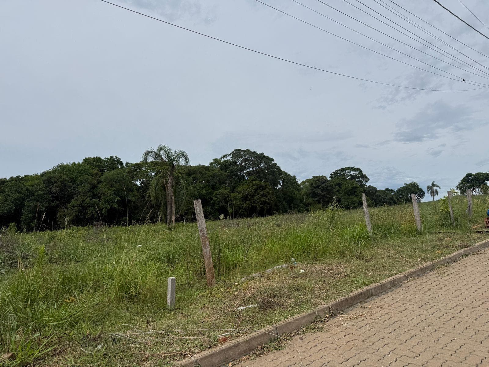 Terreno para Venda no União em Ivoti - Imagem 3