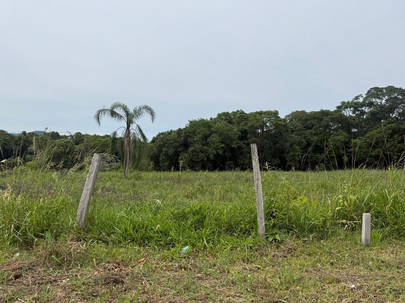 Terreno para Venda no União em Ivoti - Imagem 5