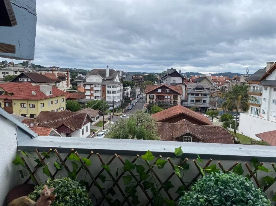 Próxima imagem