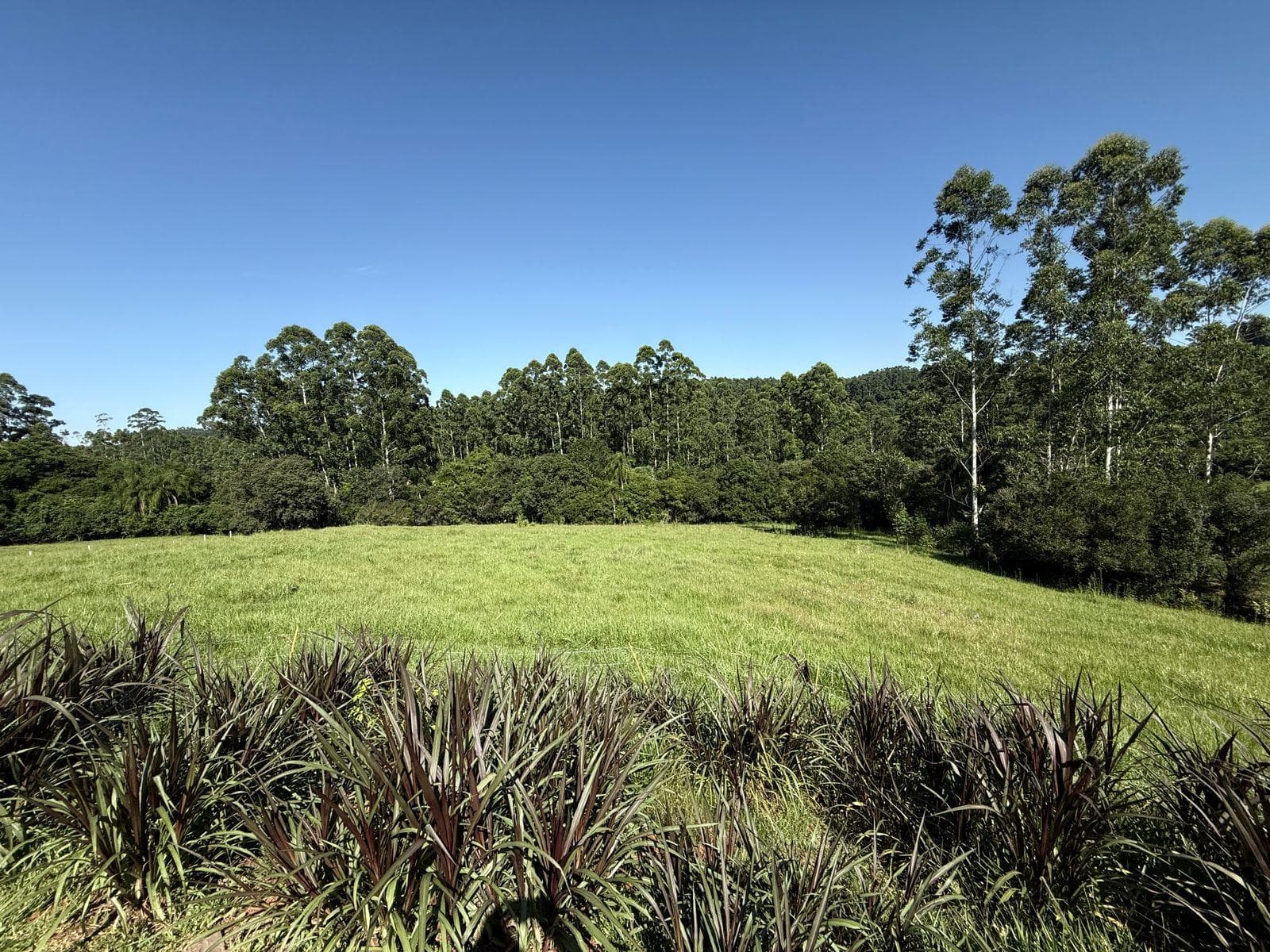 Casa para Venda no Picada 48 Baixa em Ivoti - Imagem 1