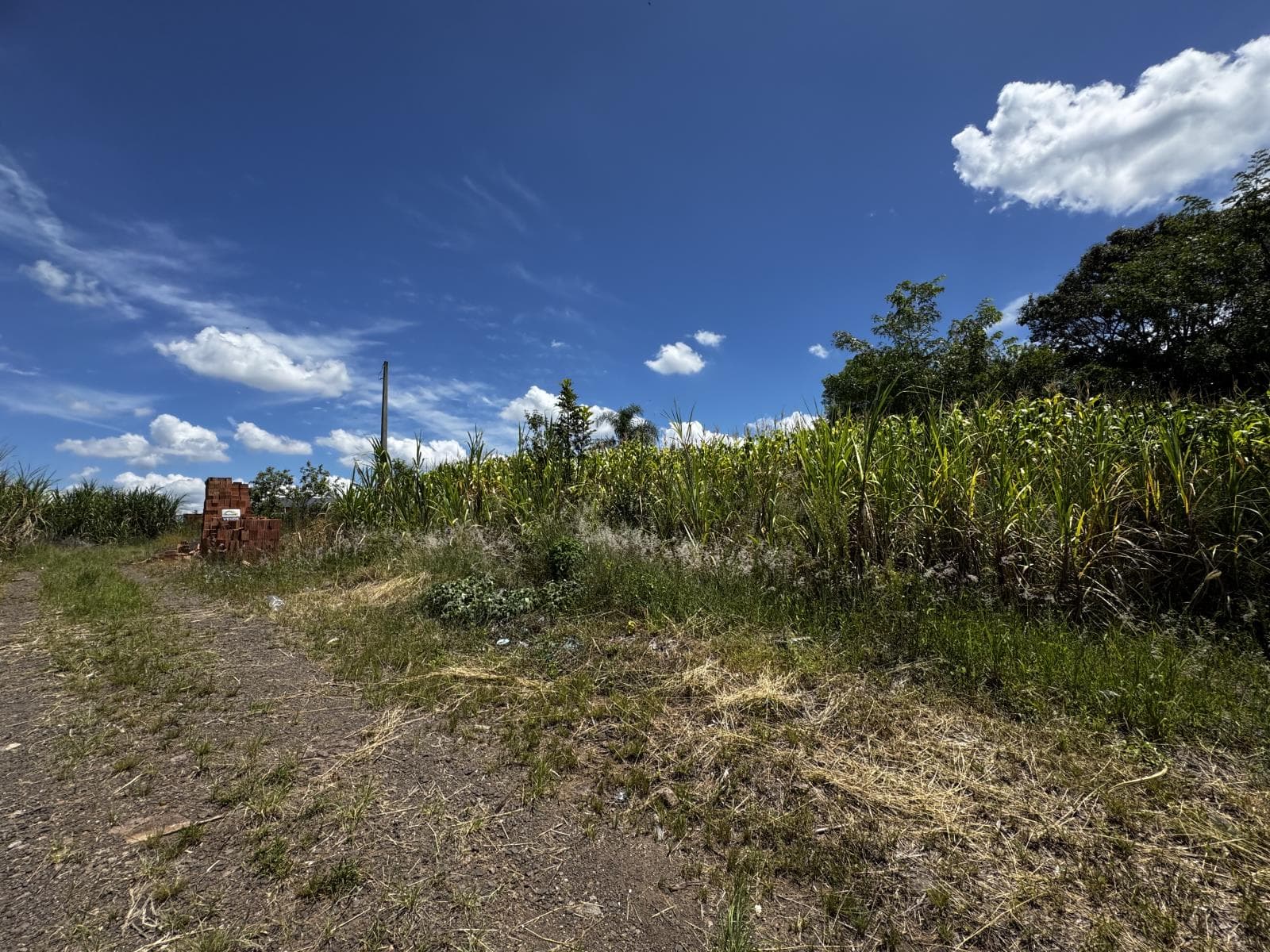 Terreno para Venda no Jardim Bühler em Ivoti - Imagem 1