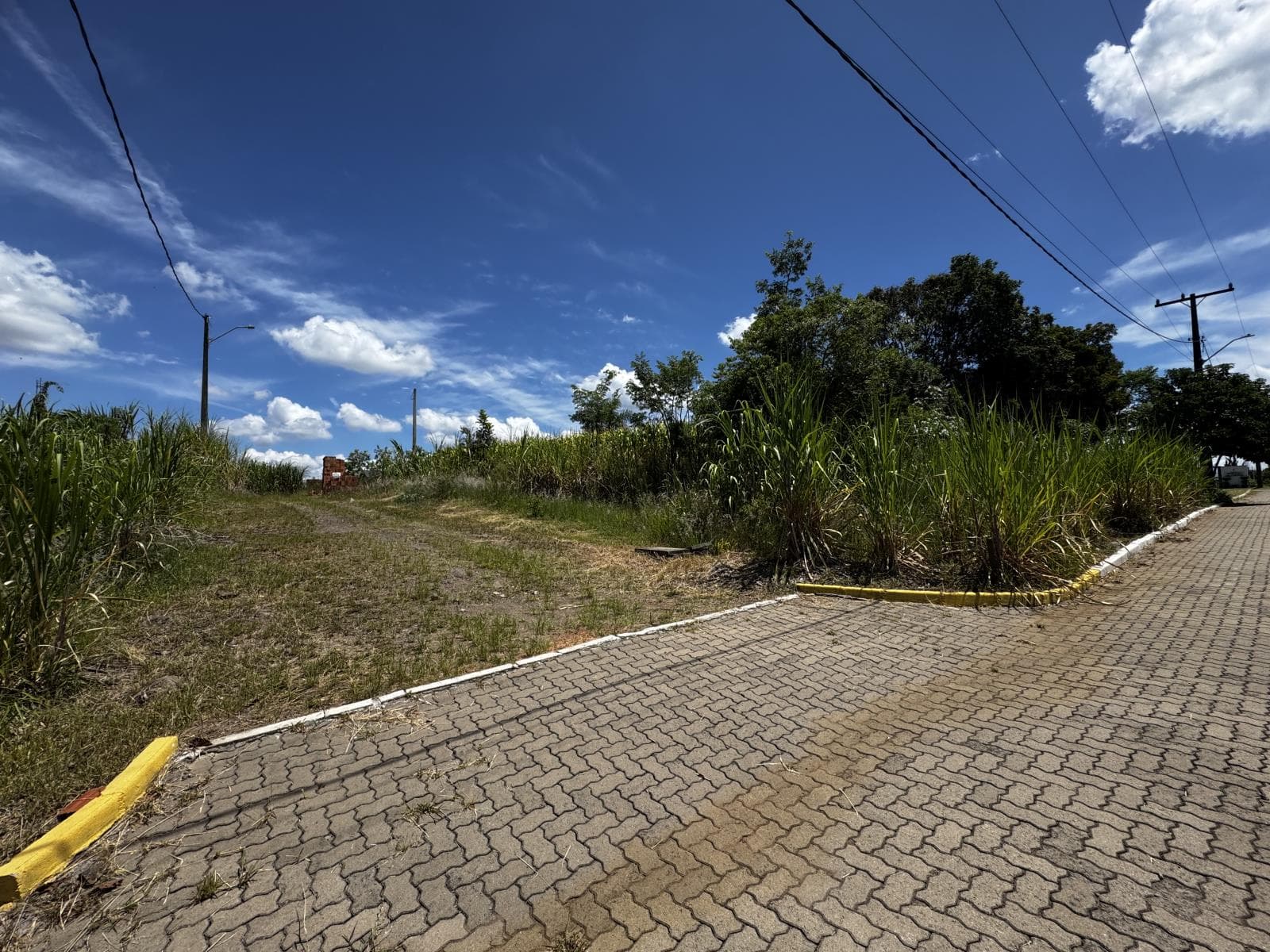 Terreno para Venda no Jardim Bühler em Ivoti - Imagem 2