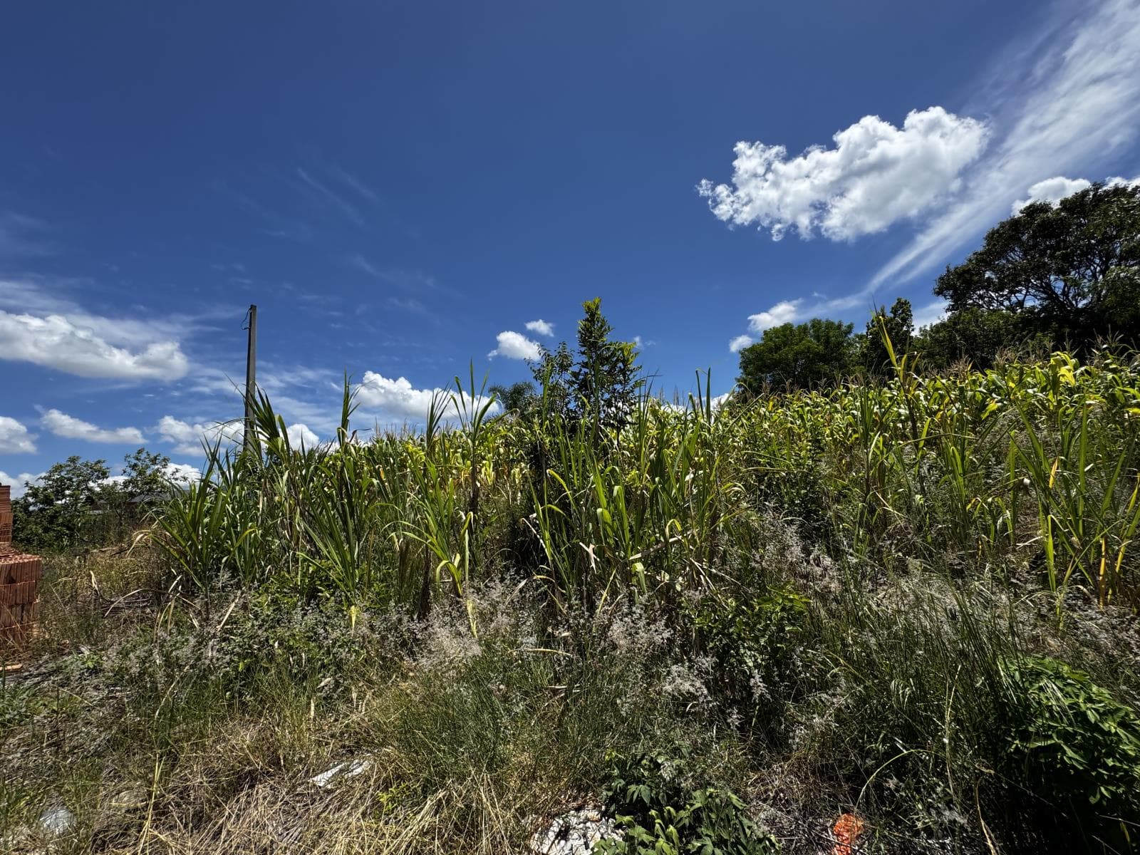 Terreno para Venda no Jardim Bühler em Ivoti - Imagem 4