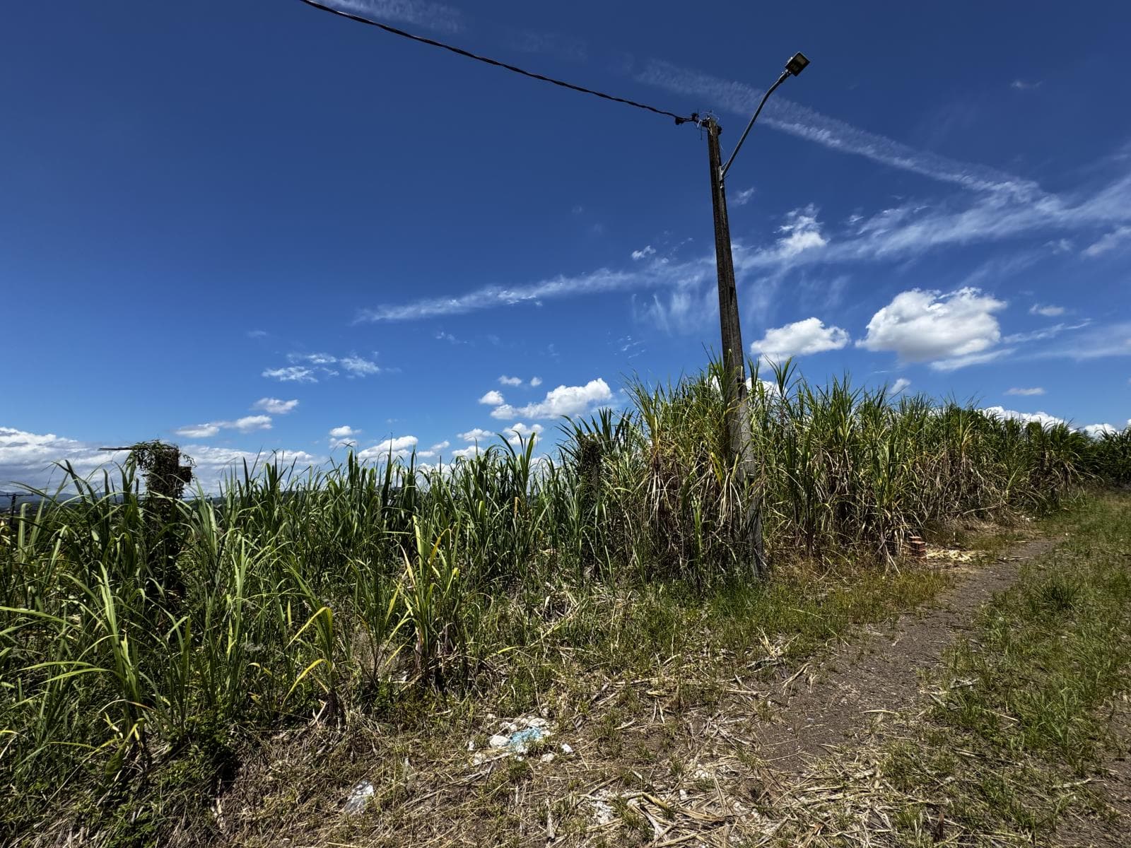 Terreno para Venda no Jardim Bühler em Ivoti - Imagem 5