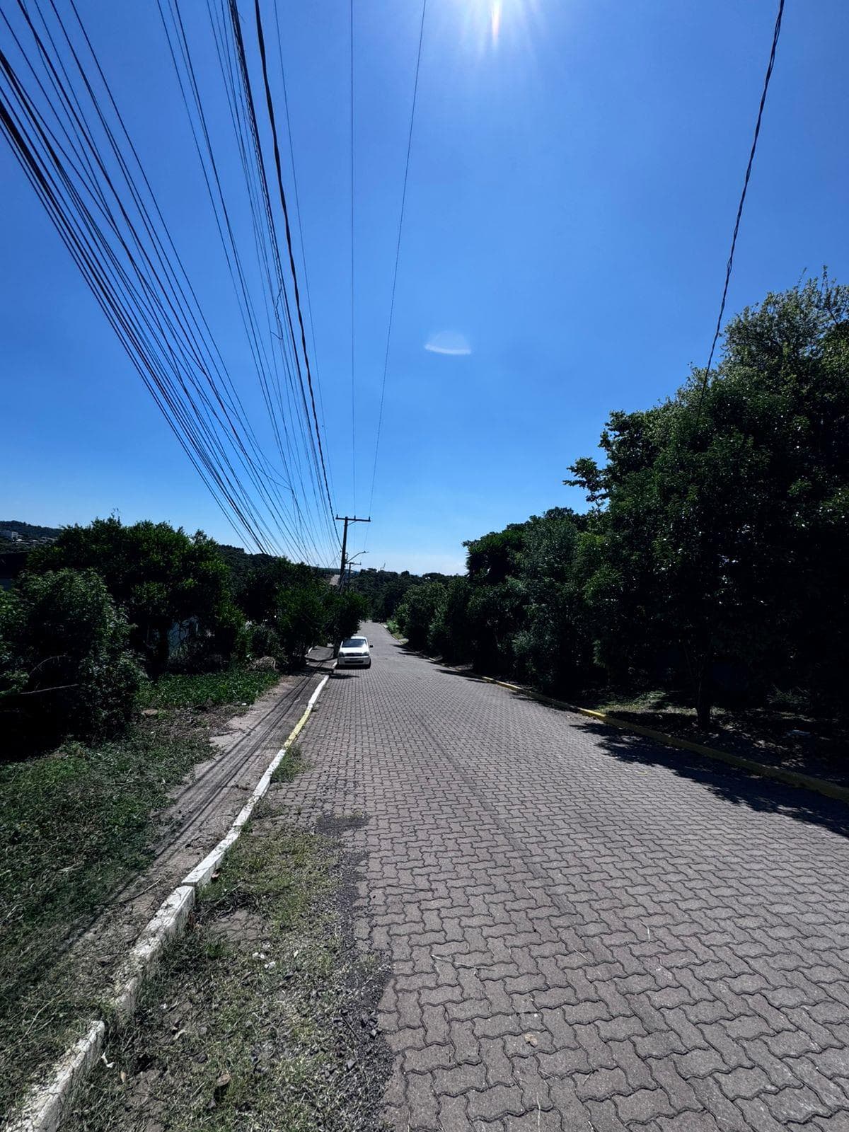 Terreno para Venda no Morada do Sol em Ivoti - Imagem 5