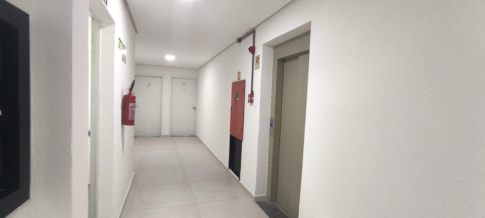 Próxima imagem