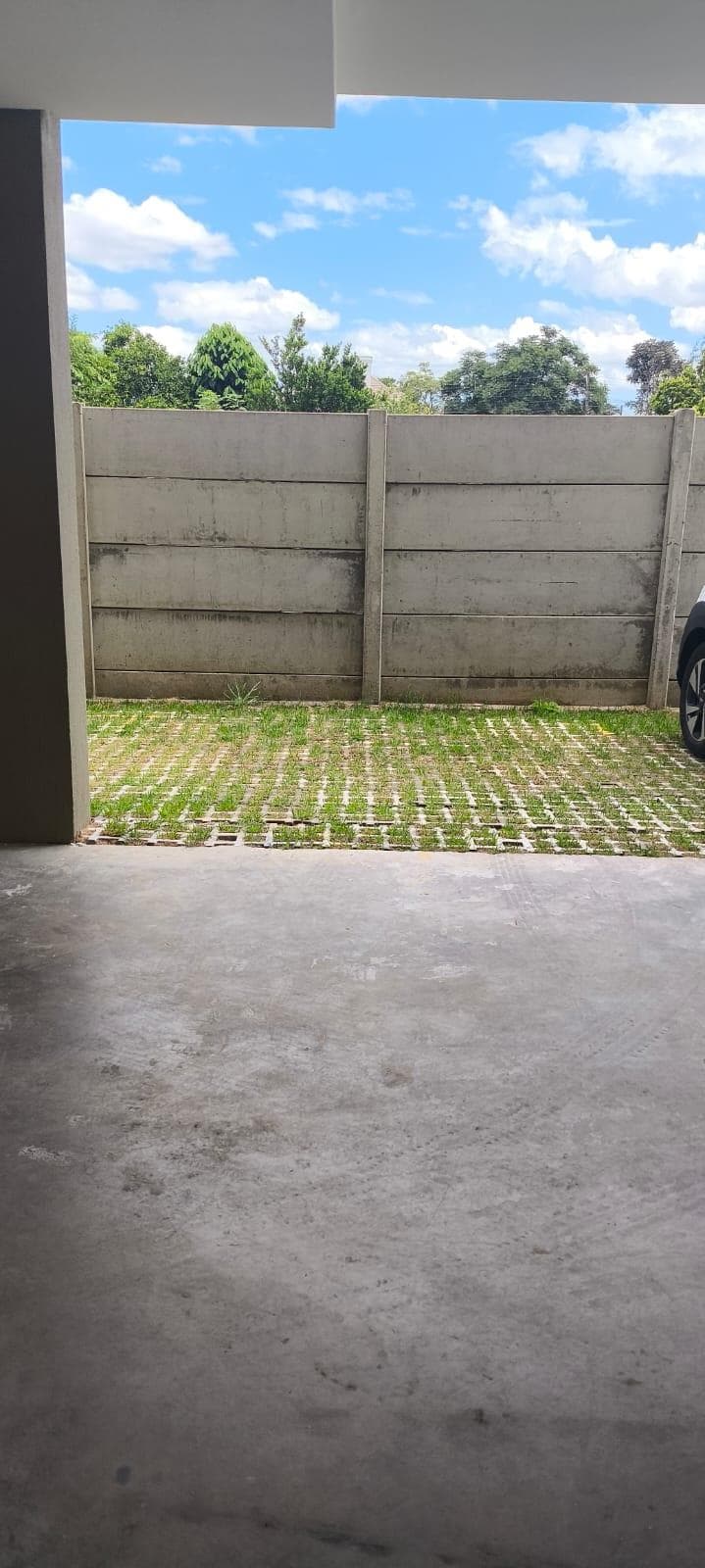 Próxima imagem