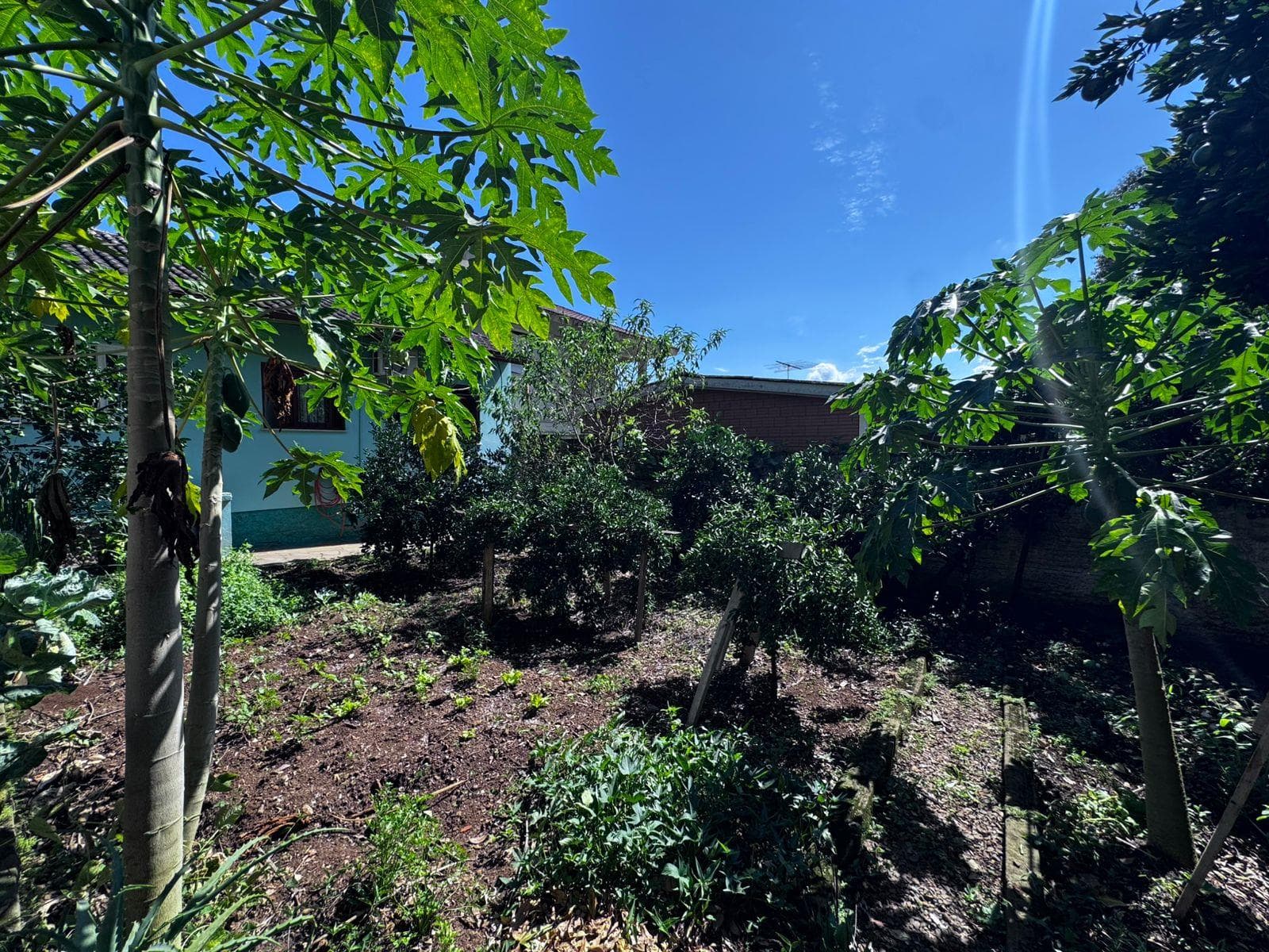 Imagem 18 do imóvel