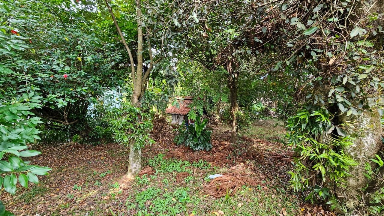 Imagem 19 do imóvel