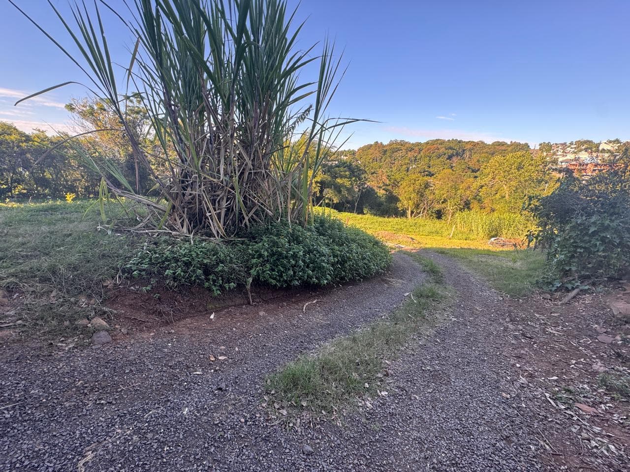 Pavilhão / Prédio para Venda no Concórdia em Ivoti - Imagem 3