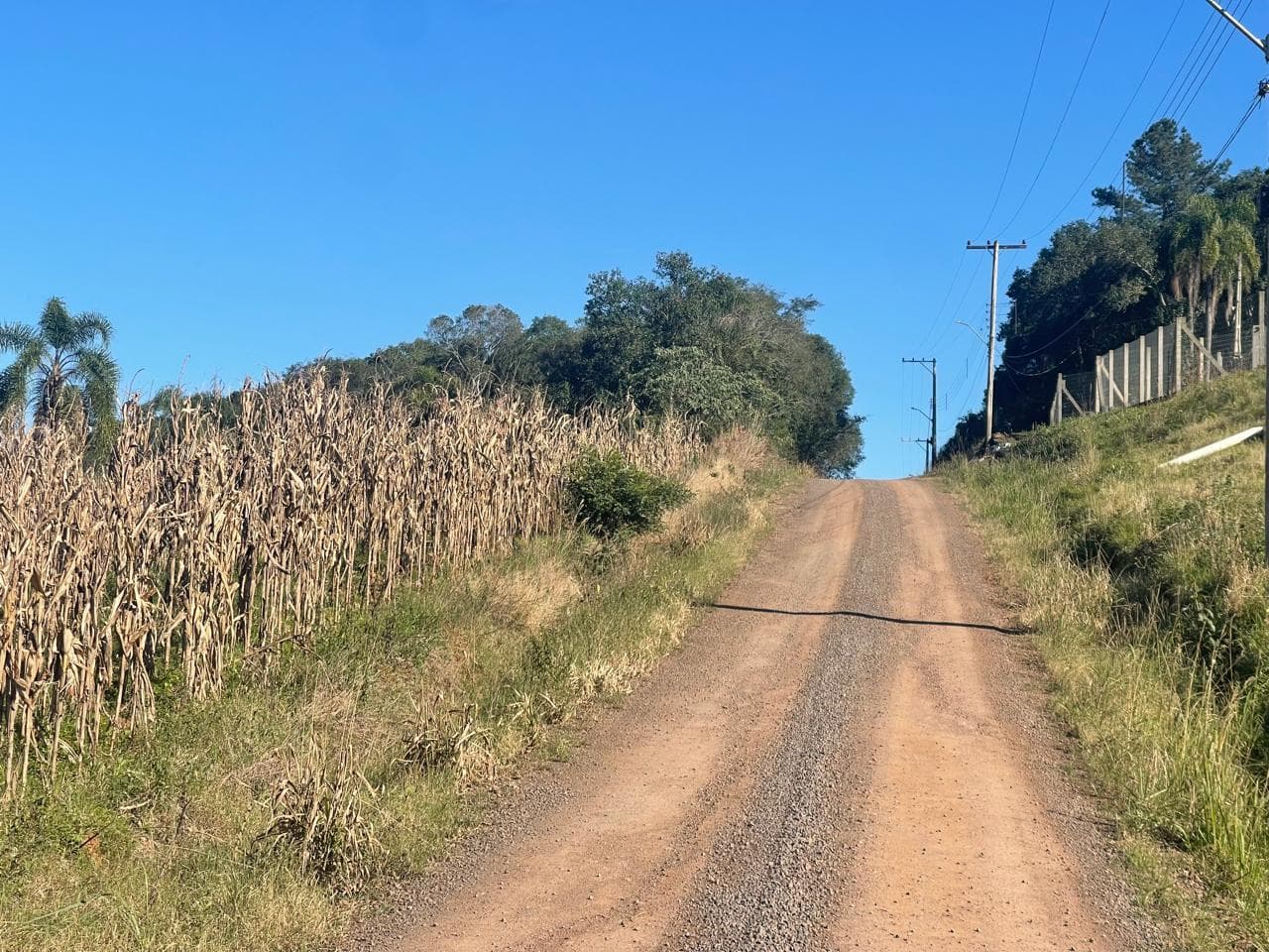 ÁREA DE TERRAS, 10817M² ÁREA TOTAL À VENDA - Imagem 2