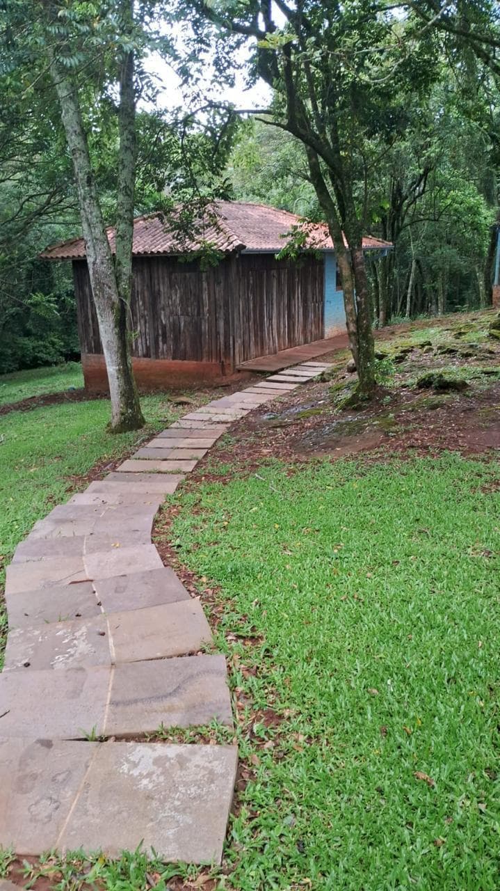 Próxima imagem