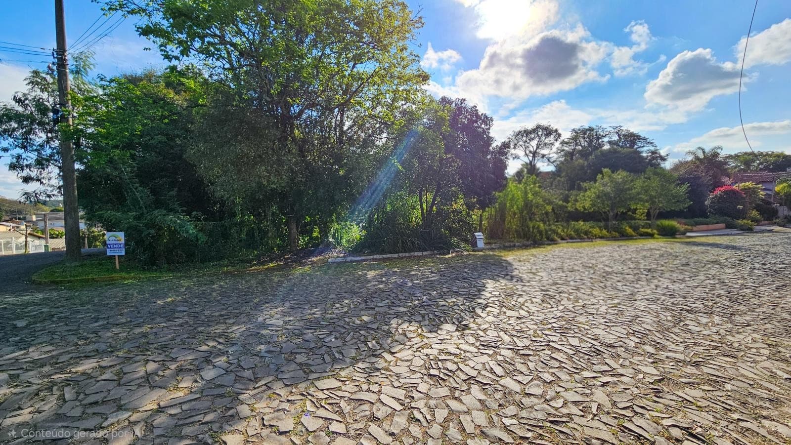 Próxima imagem