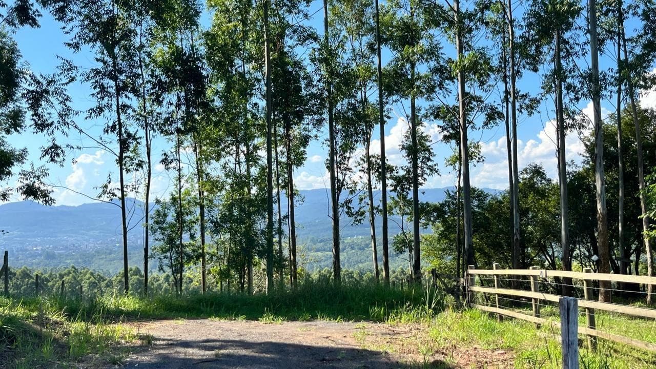 CHÁCARA / SÍTIO COM 1 DORMITÓRIO, 7388M² ÁREA TOTAL À VENDA - Imagem 2