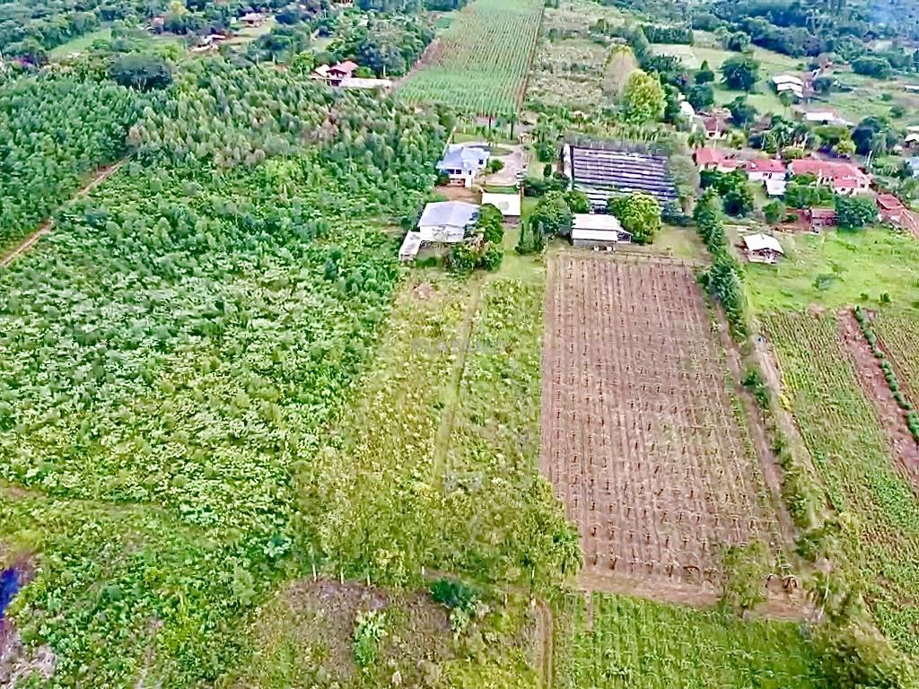 Imóvel com 2 quartos no Picada 48 Alta, Ivoti - Imagem 4