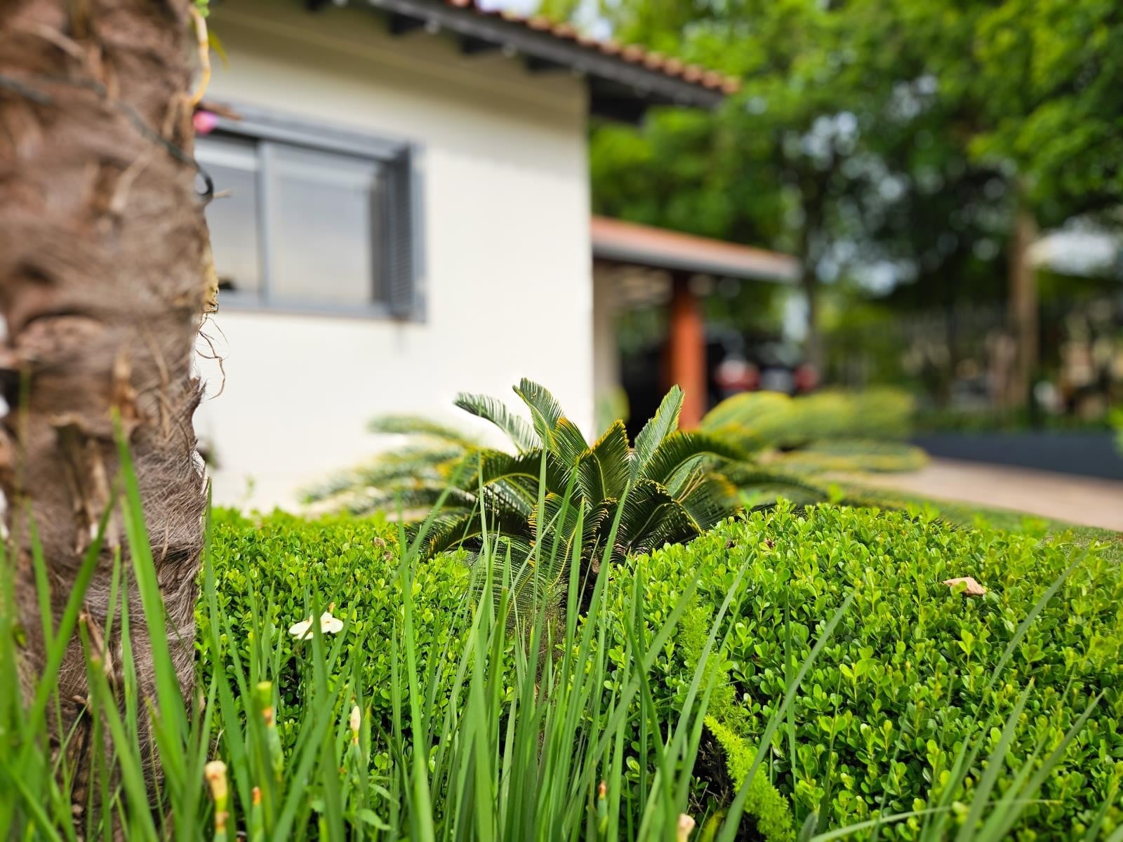 Casa para Venda no Palmares em Ivoti - Imagem 3